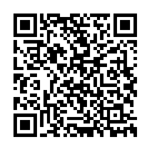 但是现在这个时候宋天仁是绝对不会去挠一挠的二维码生成