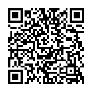 但是琴瑟色那震惊的小眼神还是让陌星子忍不住开口解释了一句二维码生成