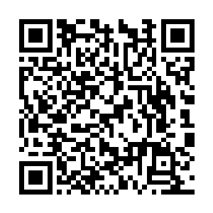 但是甄敬才却女卣此冷静的抛开了那些困扰的情绪二维码生成