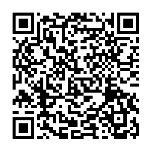 但是生性乖张的夜玄烨当时只因为打了一场架便被莫名其妙的赶鸭子上架二维码生成