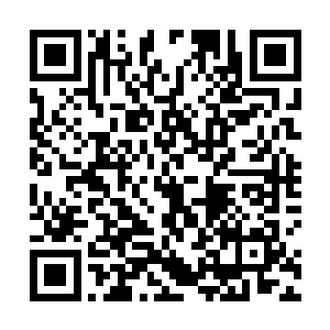 但是百族对于天元大陆的仇恨却并沒有想象中的那么深二维码生成