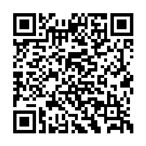 但是相比处于这件事情的风波主心的主角的王强二维码生成