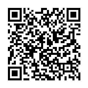 但是看到莫小鱼那表情就知道肯定是一个女人的来电二维码生成