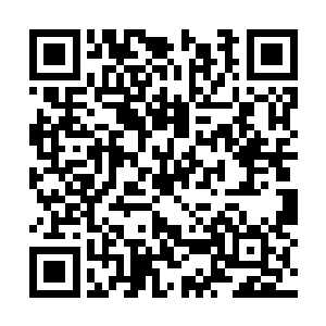 但是看电影和亲身经历绝对是两种截然不同的感觉二维码生成