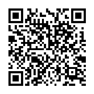 但是看着一个还带着些天真稚气的俊美少年对着自己心里二维码生成
