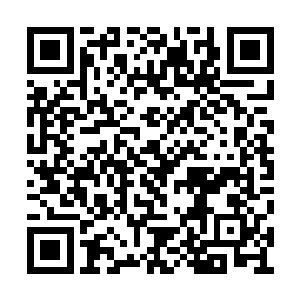 但是看着许紫烟周围控制的层层叠叠的七品仙符二维码生成