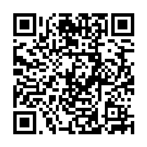 但是看着这些半大的小孩子还有在后面一脸懦弱的女孩子们二维码生成