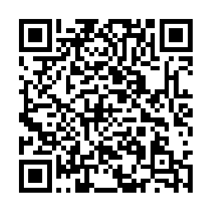 但是看着远处象山城中那魔族骑士飞起飞落的地方二维码生成