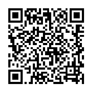 但是看这些人的气势麹娅也知道他们的身份不比寻常二维码生成