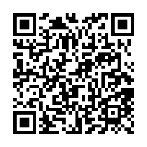 但是真正的实力却没有跟上快速提升的修为境界二维码生成