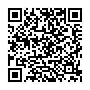 但是真正能够找到秘密的人恐怕也就只有夏天了二维码生成