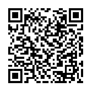 但是真正麻烦的是对方气血中那股炙热的极炎之意二维码生成