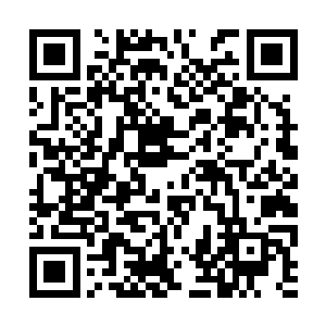 但是眼下的每一天的我都会尽最大的努力让她幸福二维码生成