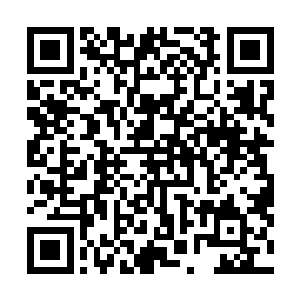 但是眼睁睁的看着这个小女孩还没有好好地看一眼这世界二维码生成