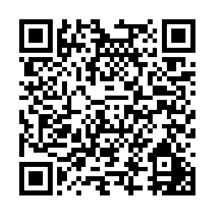 但是眼神里的怒火也表明她们的不甘心和愤怒之情二维码生成