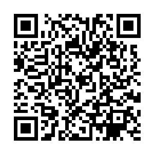 但是眼神里面流露出来的光彩却显得很是照人reads二维码生成