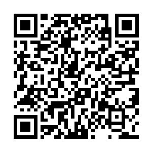 但是秦嫣然能够为了他而做出这样的牺牲和改变二维码生成