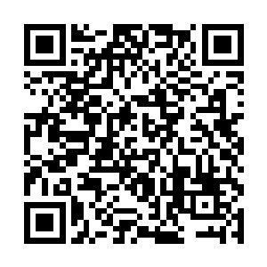 但是突然之间一直冰冷而松软的手一把抓住了我的腿二维码生成