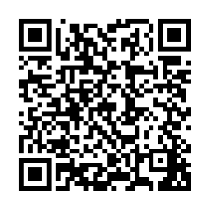但是竟没有见过一个男子如眼前这一位一般的让人容易心生好感二维码生成