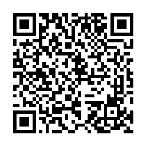 但是等了半天都没有感觉到那尖利的牙齿刺破身体的痛楚二维码生成