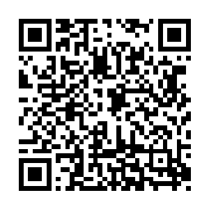 但是等到许紫烟说在那里除了十一属性修士之外二维码生成