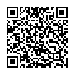 但是简真人不能无所谓啊――你打斗的时候放一放水二维码生成