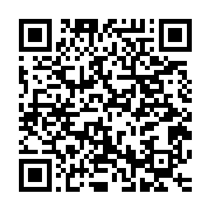 但是紫影彤对于天机演化方面绝对是所有人都拍马都赶不上的二维码生成