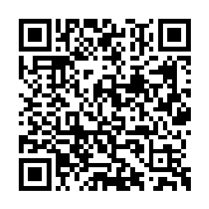 但是组办方邀请的表演团都是世界知名的表演团二维码生成