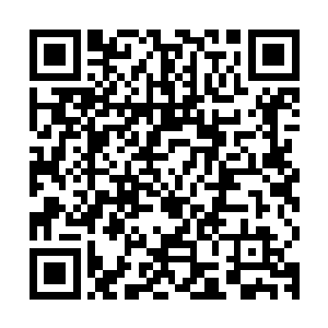 但是绝对不会再由着她的性子将他仅剩无几的青春继续荒废下去二维码生成