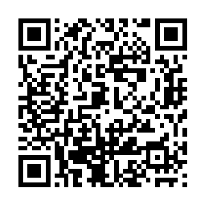 但是绝对找寻不到这个四合院主任任何有关的讯息二维码生成