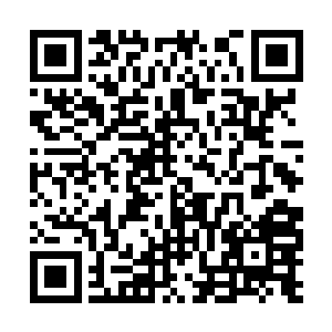 但是维尼毫不犹豫地将自己的实力全部告诉了马文二维码生成