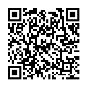 但是老二的这一掌说什么也不能让他拍到她的身上二维码生成