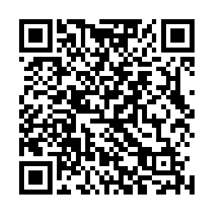 但是老是对着这样一个仿佛别人欠了他五百万两不肯还的脸二维码生成