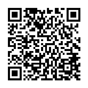 但是老祭祀还是决定在新族人的跟前要给他们的族长留个面子二维码生成