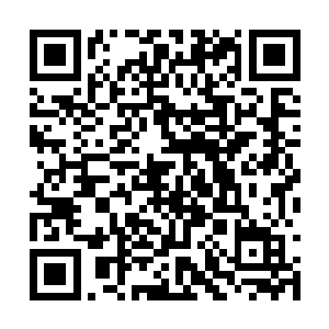 但是老道士对成仙门内的一切似乎是一点都不动心二维码生成