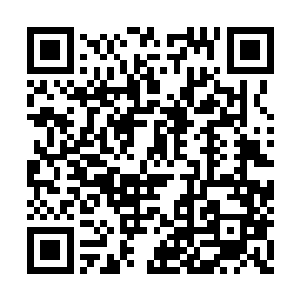 但是考虑到杨凤栖对那个孩子一直都不冷不热的二维码生成