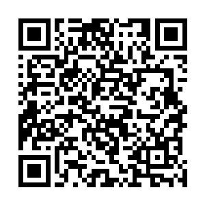 但是联合起来的威势哪怕是杨戬这主神高手都不得不侧目二维码生成