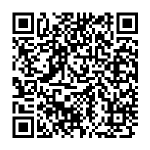 但是能够在两大域之间的夹缝中生存这么久他们的实力也是不容小觑的二维码生成