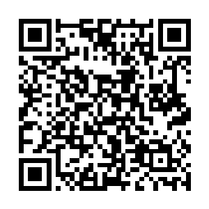 但是能够将霸气修炼到这种境界的人就只有羽帝一个二维码生成
