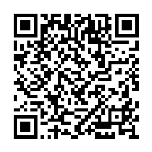 但是能够把梁栋和沃尔维克斯基送到萨那就够了二维码生成