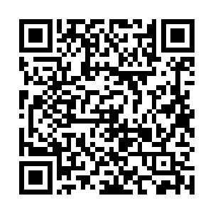 但是能够拖住龙阳的视线偶尔给他制造一些麻烦就够了二维码生成