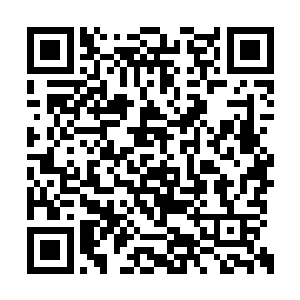 但是能够近距离接触这些圆滚滚还是非常值得的二维码生成
