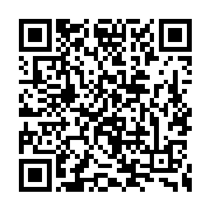 但是能进受罚区的人都不会忘记这根红线的作用二维码生成