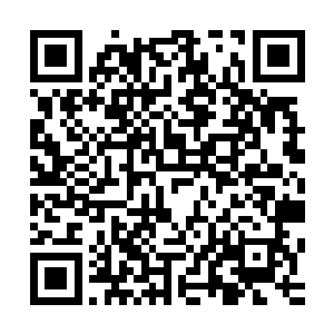 但是脑海中迅速地闪现着刚才许紫烟传授给他的枯木逢春之法二维码生成