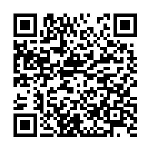 但是自己的法器缚红绫却是骤然诡异的受到了重创二维码生成