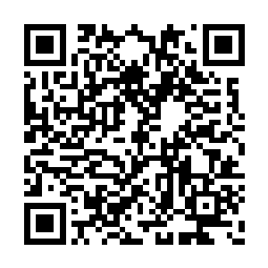 但是自己还是很想知道自己在东黎墨心中的地位二维码生成