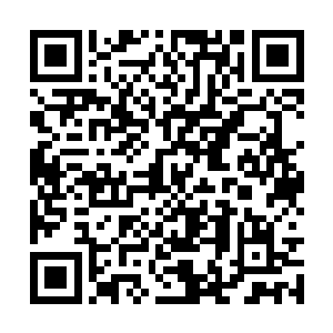 但是至少在天云山的范围内绝对是出类拔萃的存在二维码生成