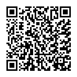 但是至少能够让大哥得到公平的待遇或者让他能够自由的去自己想去的地方二维码生成