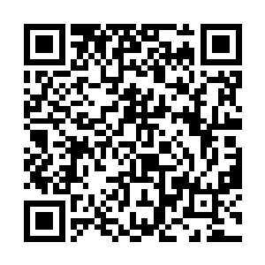 但是苏燕青能在这么短时间内能把台商眷属关系拉近二维码生成