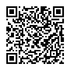 但是苏落带着梦雨仙子直接脱离地面飞到一旁的树上二维码生成